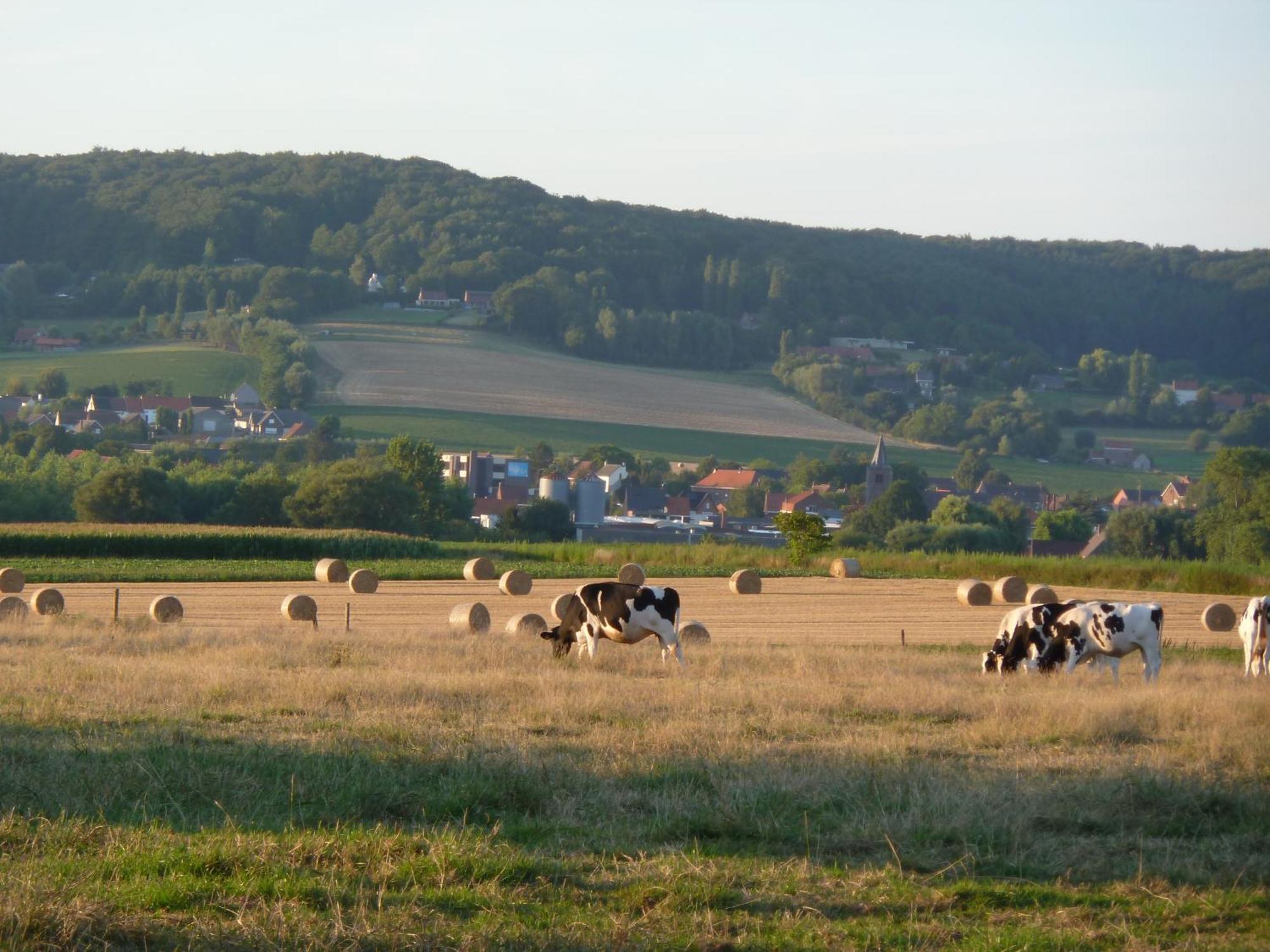 Entre Monts Et Collines B&B Et Spa En Option Mont-de-l'Enclus Exterior foto